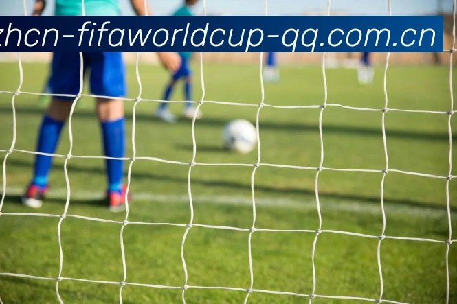 2026世界杯16座比赛场馆全景